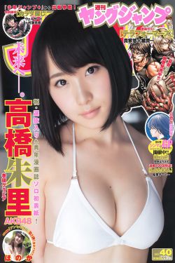 豺狼的日子电视剧